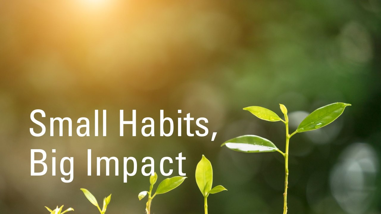 Orisuun | The Power of Small Habits: How Tiny Changes Create Big ...